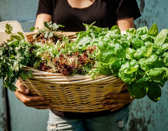 Marché public édition 2022